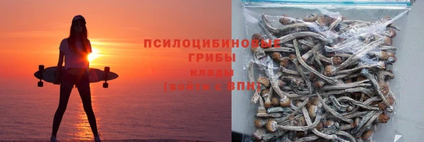 spice Аркадак