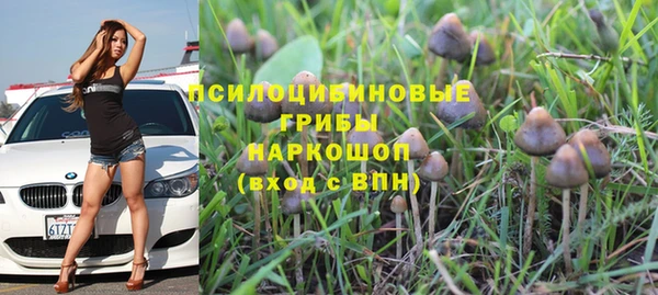 spice Аркадак