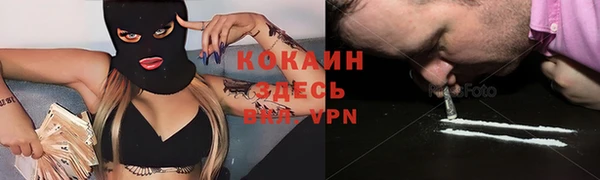 кокс Арсеньев