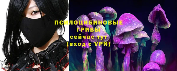 spice Аркадак
