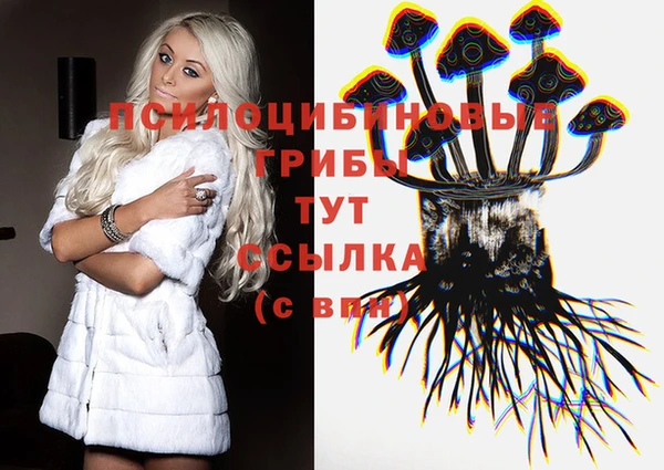 кокс Арсеньев