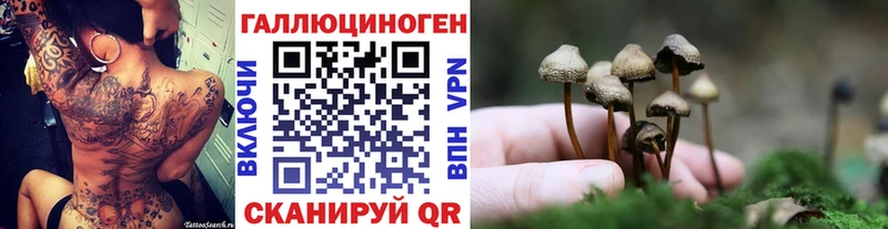 что такое Междуреченск blacksprut ONION Галлюциногенные грибы Magic Shrooms
